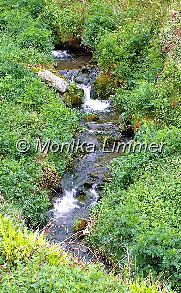Bachlauf Tintangel klein.jpg